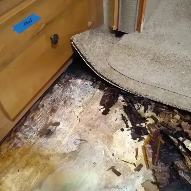 Best Wood Floor Water Damage Service in Miner County, SD